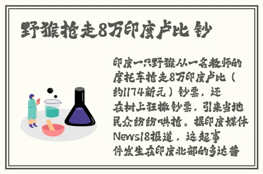 两个男人玩一个女人